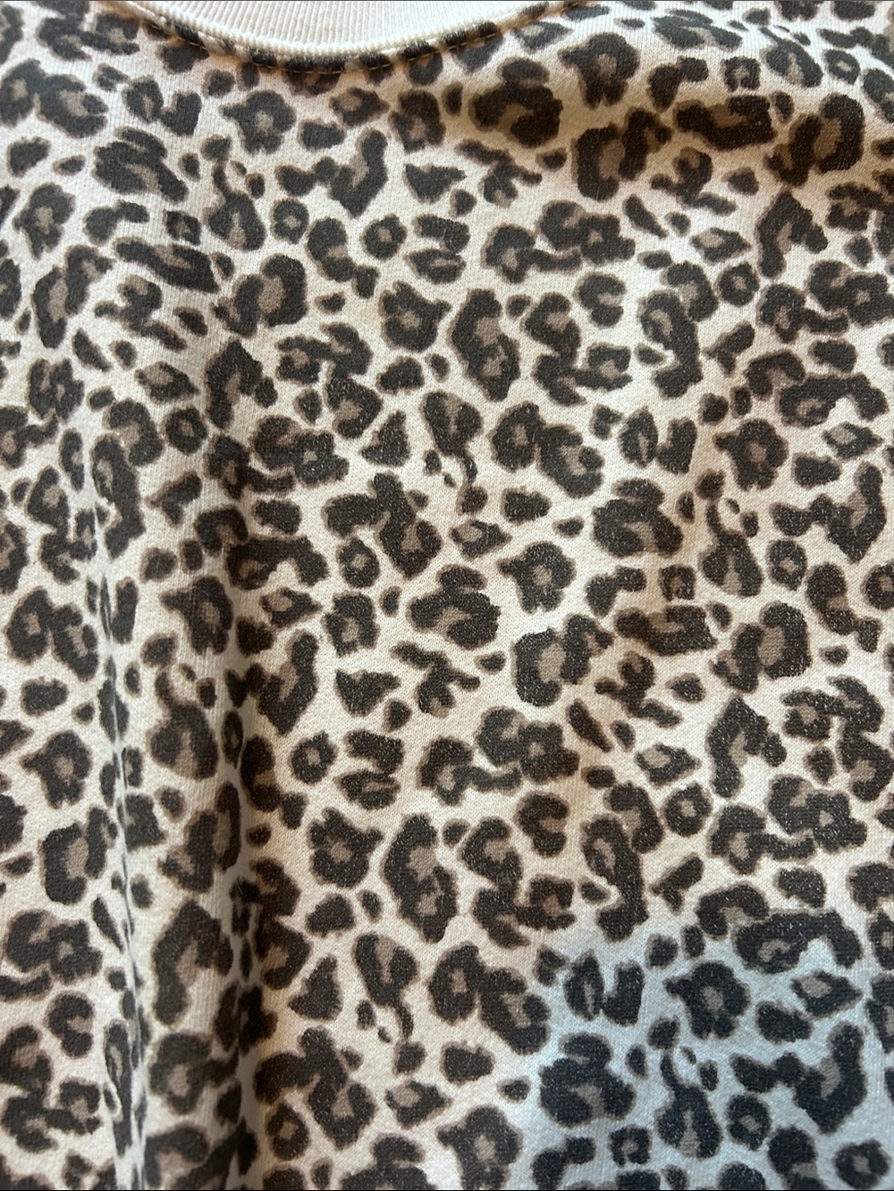 Abercrombie & Fitch Leopard Print Pullover - Cream & Brown - Picture 6 of 8
